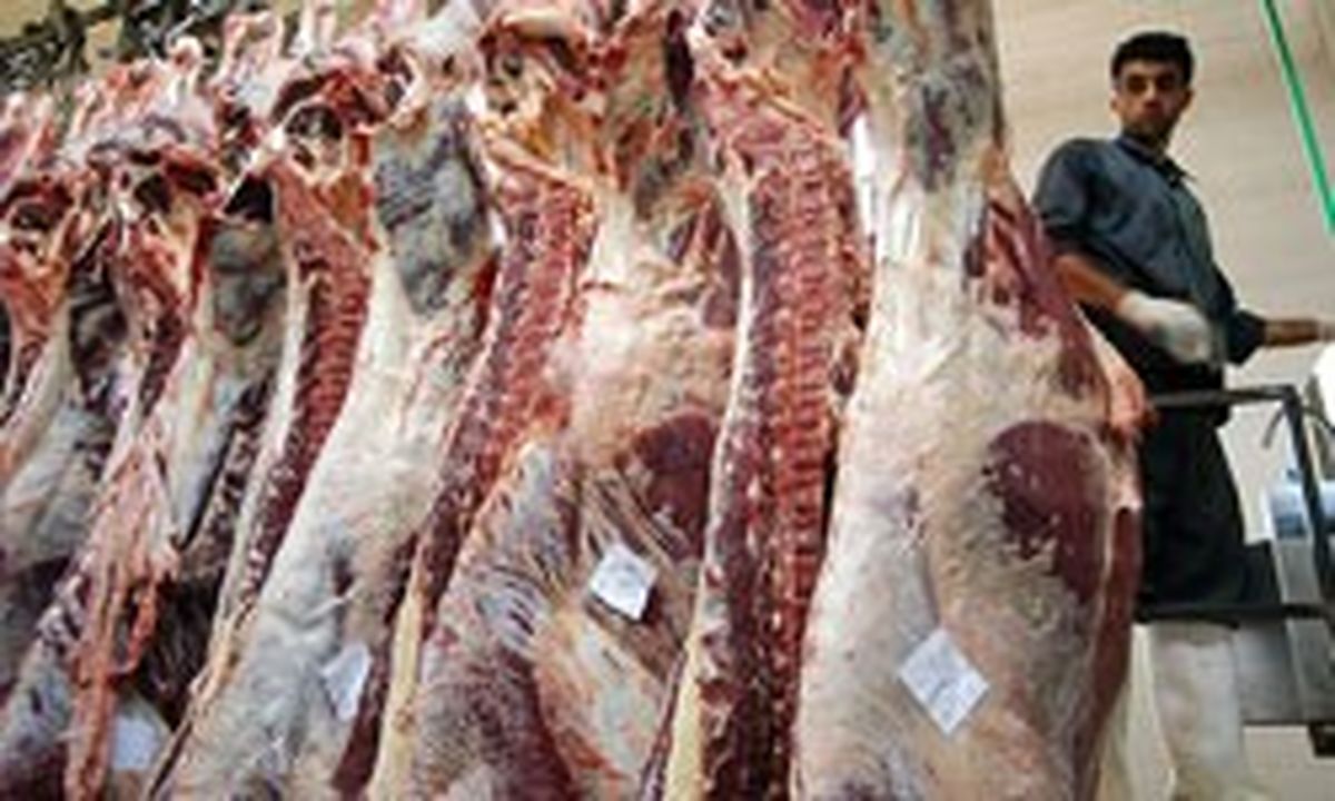 مدیرعامل اتحادیه مرکزی دامداران: امسال هیچ نیازی به واردات گوشت قرمز نداریم