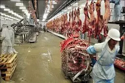 گوشت گاوی همچنان جزو ۱۰ قلم عمده واردات به کشور است