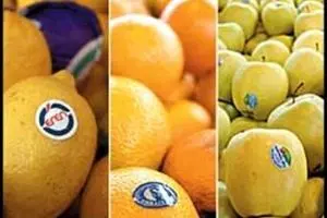 قائم‌مقام خانه کشاورز:  قواعد مجوزهای وارداتی در محصولات کشاورزی رعایت نمی‌شود