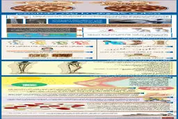 گرافیک اطلاع‌رسان:: بیماری خاموش را بهتر بشناسیم