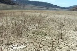 روند محیط زیستی کشور به سمت 