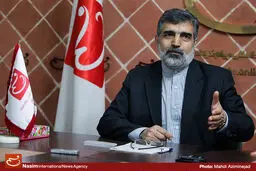 کمالوندی: گزارش آمانو تکراری و دارای ایراد حقوقی است