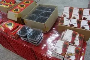 عضو  انجمن ملی خرما: دلال‌ها بگذارند قیمت خرما در ماه رمضان ثابت است