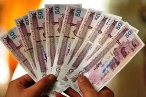 قائم مقام وزیر کار: یارانه شش میلیون نفر تا پایان سال قطع می‌‌شود