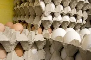 قیمت تخم‌مرغ کیلویی ۶۰۰ تومان ارزان شد