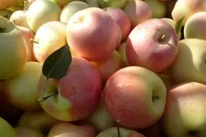 سیب گلاب ۱۵ هزار تومان شد + نرخ انواع میوه