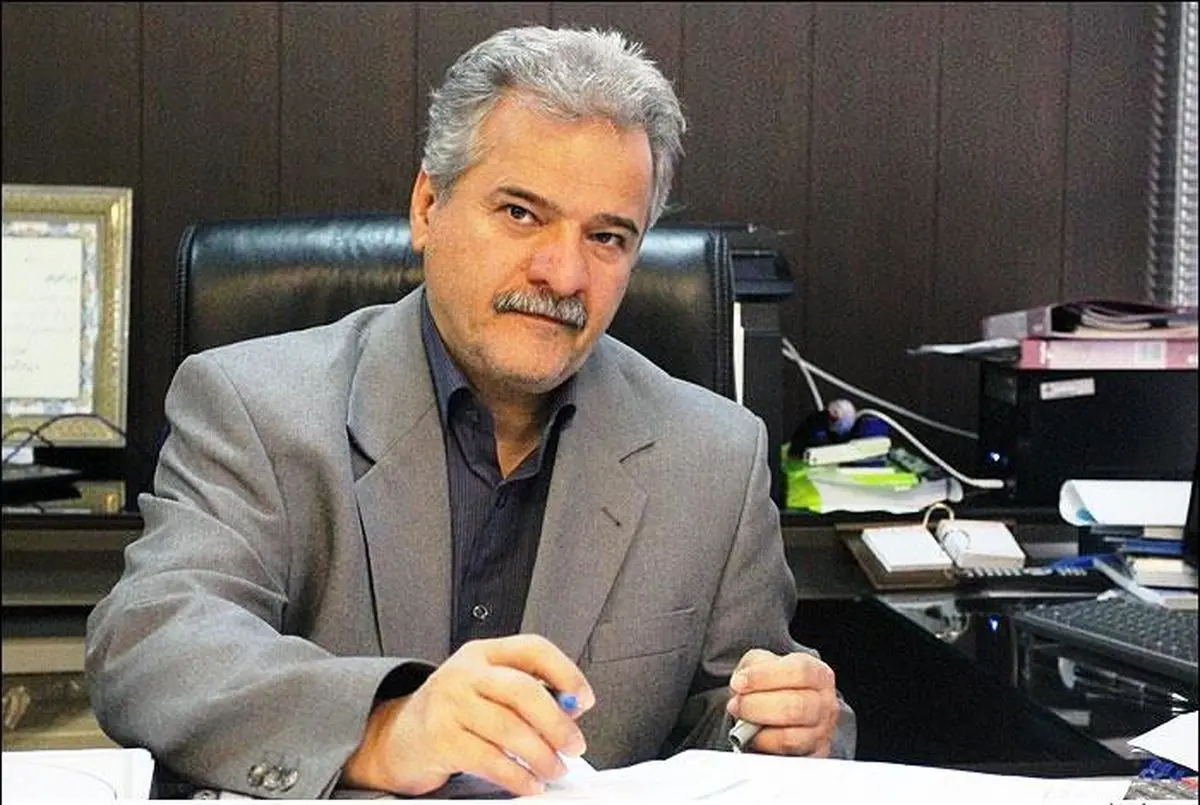 مدیرعامل شرکت ملی صادرات گاز: ایران در خاک ترکیه نیروگاه می‌سازد