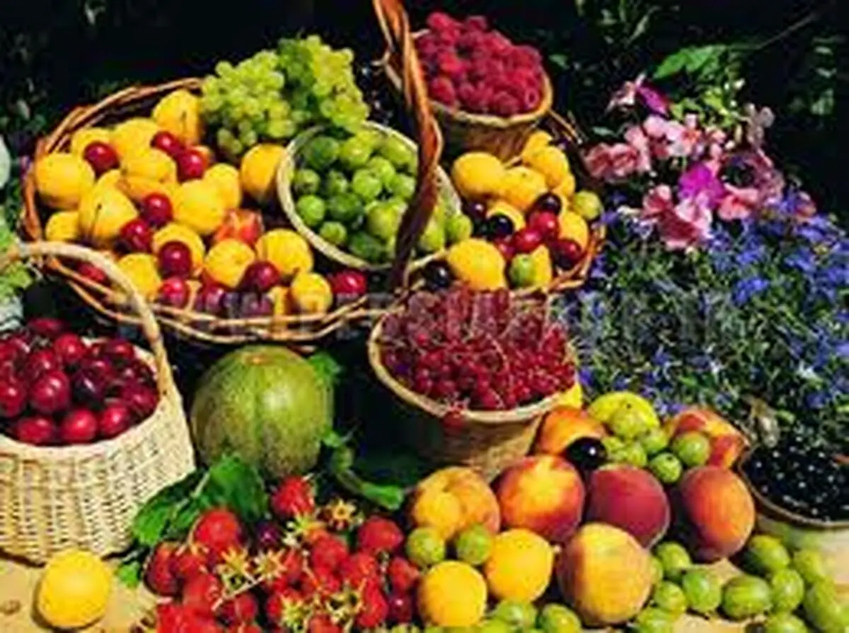 رئیس اتحادیه میوه و تره‌بار: میوه‌های تابستانی ارزان شدند