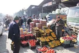 توزیع روزانه بیش از ۲۳۰۰ تن میوه و تره‌بار، محصولات پروتئینی و لبنی در ماه رمضان