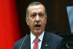 اردوغان: اگر تا ۴۵ روز کابینه تشکیل نشود، انتخابات زودهنگام برگزار می‌کنم 