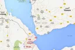 هواپیمای حامل احزاب یمنی جیبوتی را به مقصد ژنو ترک کرد