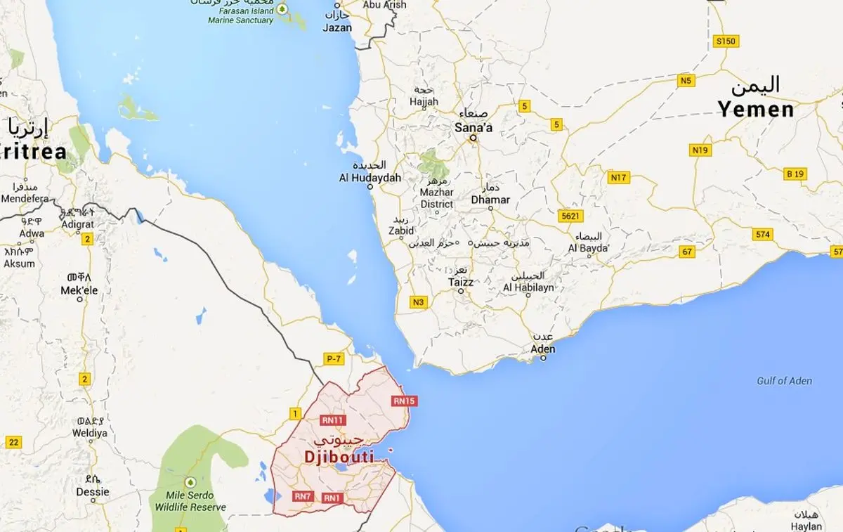 هواپیمای حامل احزاب یمنی جیبوتی را به مقصد ژنو ترک کرد