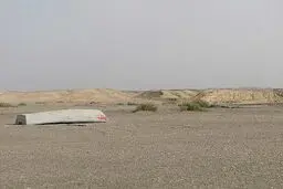 مدیر ملی طرح حفاظت از تالاب‌های کشور: ۸۰ درصد تالاب‌های کشور درشرایط بحرانی هستند