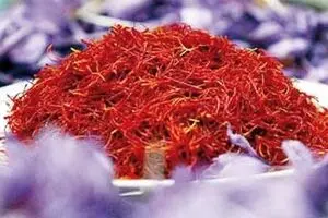 رئیس اتحادیه صادرکنندگان زعفران:  دو دستی بازار  را به مراکش می‌دهیم