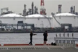 بانک زنجانی سوم در دولت یازدهم شناسایی شد