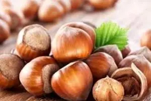 رئیس اتحادیه خشکبار: فندوق، گردو و بادام به ایران قاچاق می‌شود