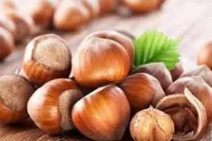 رئیس اتحادیه خشکبار: فندوق، گردو و بادام به ایران قاچاق می‌شود