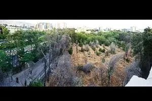 ۳۰ درصد باغ فرزانه شیراز
مجوز ساخت گرفت