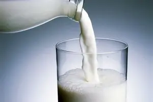 باکری: دولت مدیران بنگاه های تولیدی را ملزم به خرید ماده اولیه گران کرده است