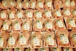 صادرات مرغ ایرانی به عمان عملیاتی شد