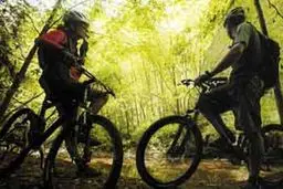 اجرای طرح دوچرخه‌‌سواری در شب‌‌های رمضان در ۱۸ بوستان پایتخت