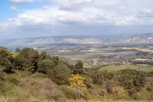ساخت و ساز در اراضی تعاونی مسکن سازمان جنگل‌ها تعیین تکلیف شد