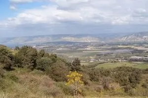 ساخت و ساز در اراضی تعاونی مسکن سازمان جنگل‌ها تعیین تکلیف شد