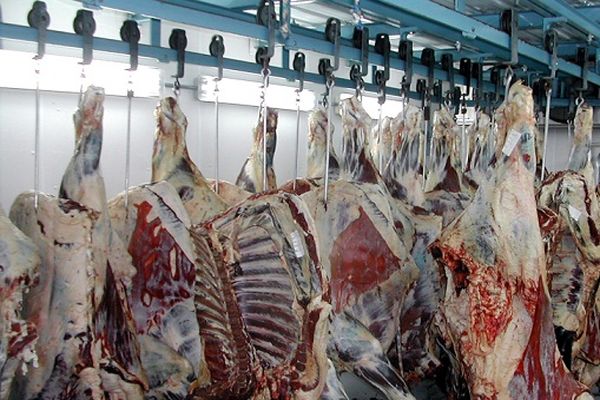 قیمت گوشت قرمز دو هزار تومان کاهش یافت
