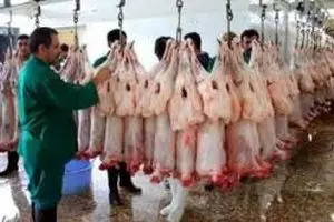صادرات گوشت قرمز بدون نیاز به مجوز وزارت کشاورزی امکان‌پذیر شد