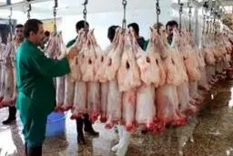 صادرات گوشت قرمز بدون نیاز به مجوز وزارت کشاورزی امکان‌پذیر شد
