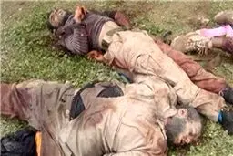 دو سرکرده برجسته داعش در الحسکه سوریه کشته شدند