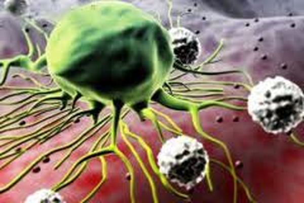 موفقیت محققان کشور در شناسایی تک سلول سرطانی در اولین مراحل بیماری
