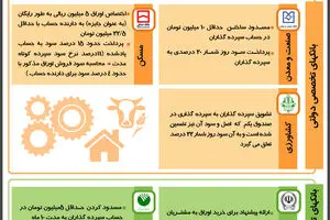 گرافیک اطلاع‌رسان:: ترفند دور زدن نرخ  سود روزشمار کدام بانک بهتر است؟
