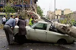 بیشترین خسارت توفان در مناطق شمال و شمال غربی تهران رخ داده است