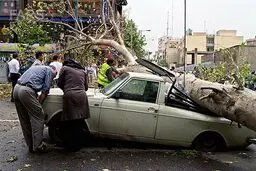 بیشترین خسارت توفان در مناطق شمال و شمال غربی تهران رخ داده است