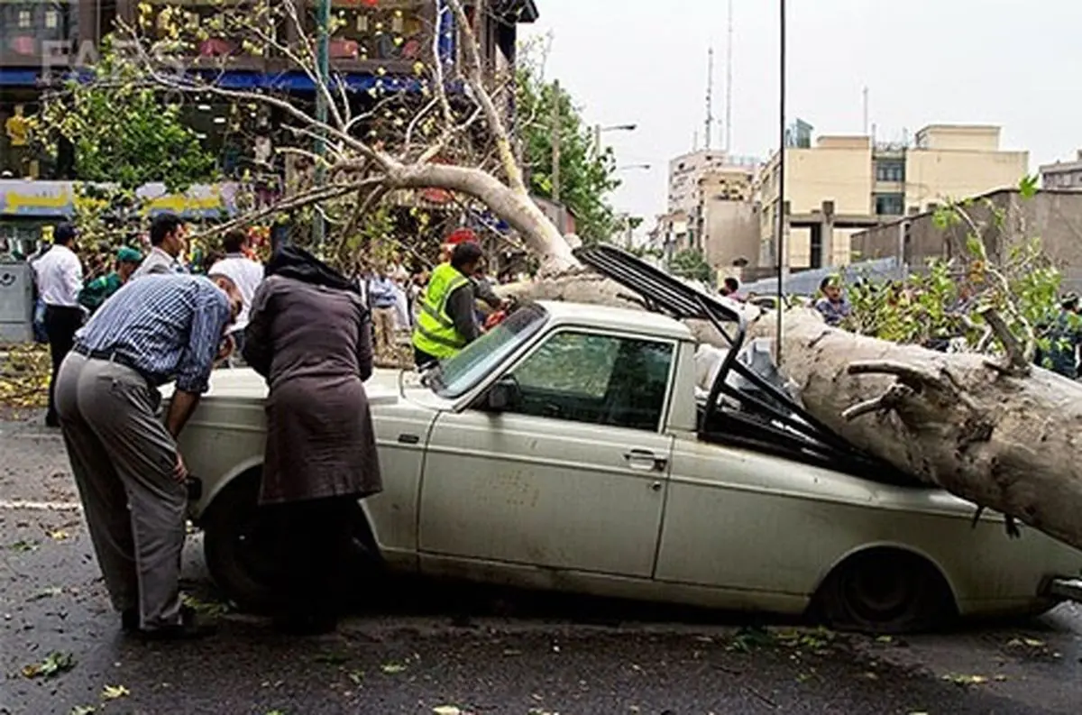 بیشترین خسارت توفان در مناطق شمال و شمال غربی تهران رخ داده است