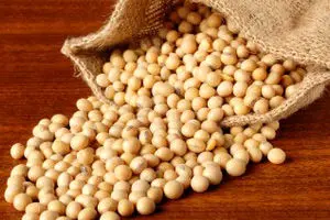 دبیر انجمن تولیدکنندگان پروتئین سویا: ۴۰ درصد ظرفیت تولیدی کارخانه‌ها تعطیل شد