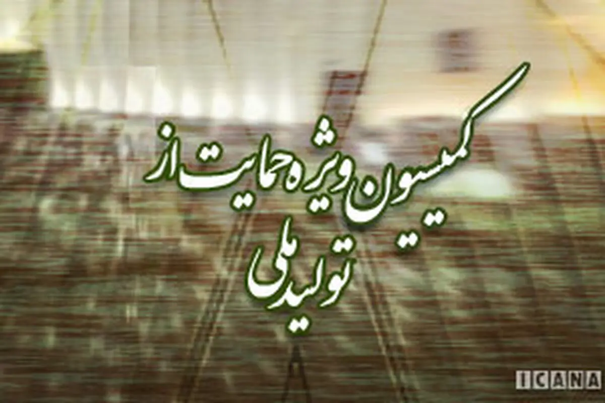 فولادگر مجدداً به عنوان رئیس کمیسیون ویژه تولید ملی انتخاب شد