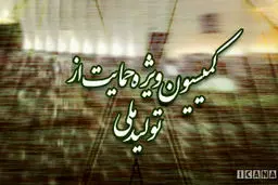 فولادگر مجدداً به عنوان رئیس کمیسیون ویژه تولید ملی انتخاب شد