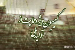 فولادگر مجدداً به عنوان رئیس کمیسیون ویژه تولید ملی انتخاب شد