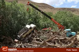 رئیس محیط زیست شهر تهران: آماری از خسارت سیل به طبیعت تهران نداریم