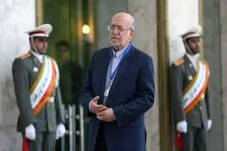 نعمت‌زاده: خارجی‌ها باید تضمین بدهند که صادرات کالاهای تولید مشترک رونق می‌یابد