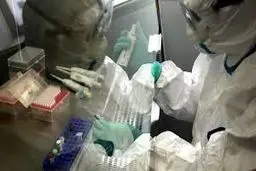 مرحله سوم آنفلوآنزای پرندگان در مازندران مشاهده شد