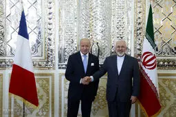 ظریف و فابیوس با هم دیدار کردند