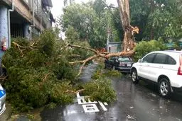 توفان مرگبار تایوان جان چهار نفر را گرفت+ تصاویر