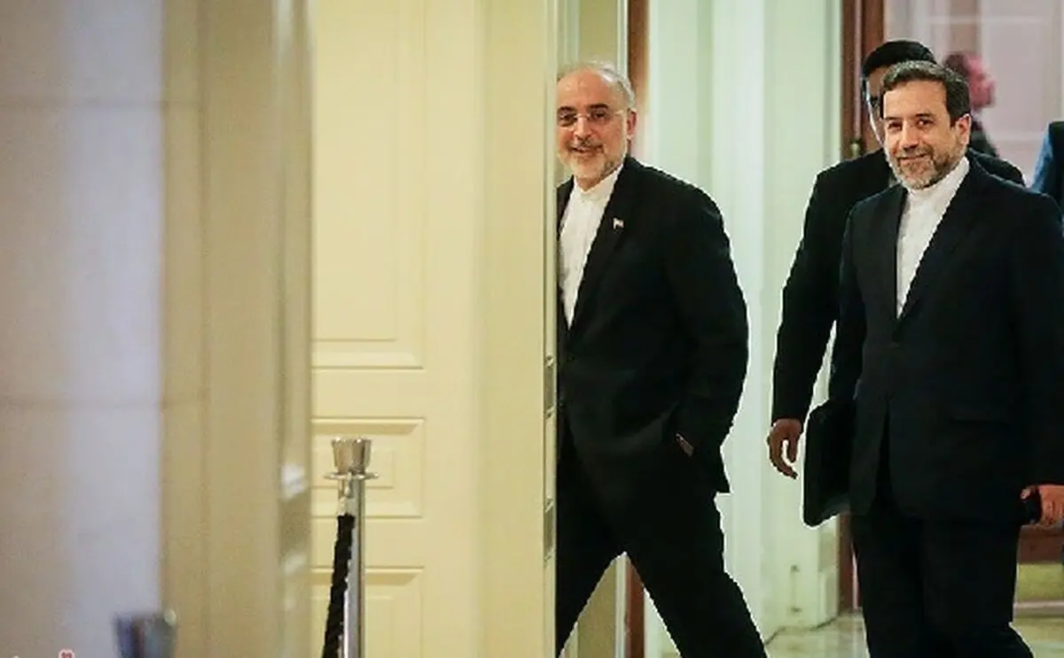 صالحی و عراقچی فردا در کمیسیون انرژی مجلس حاضر می‌شوند