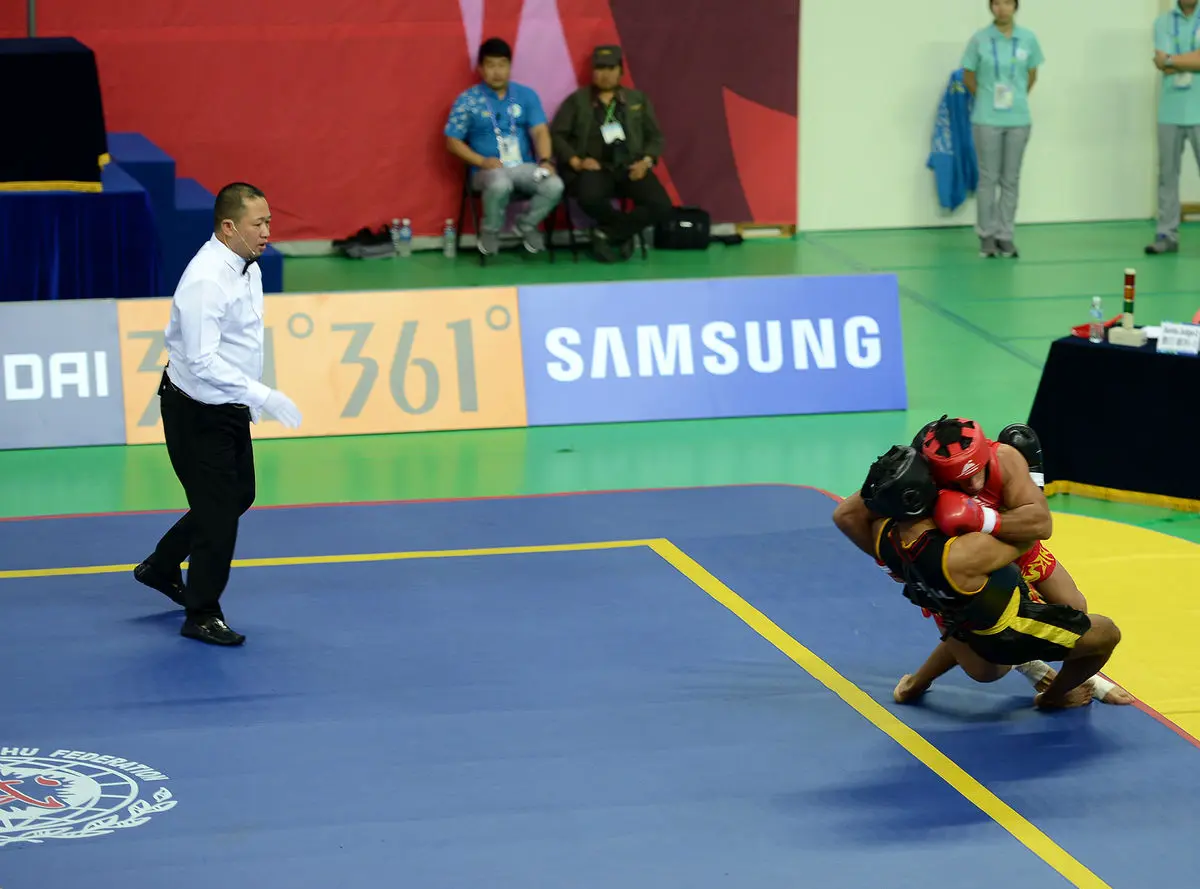 پنج سانداکار ایران به فینال مسابقات ووشوی قهرمانی جوانان آسیا صعود کردند