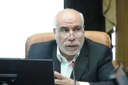 مدیرعامل بانک رفاه کارگران: ۶۰   درصد سود محقق شده بانک رفاه عملیاتی بوده است