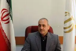 گرشاسبی:  ورزش استان تهران بیمار است