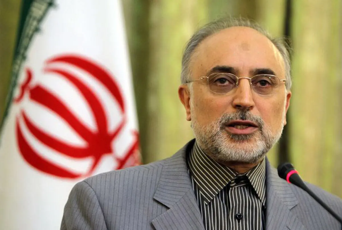 صالحی: از بعد فنی نگران فعالیت صلح‌آمیز هسته‌ای کشور نباشید